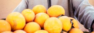 Read more about the article Market Report Week 22 – 2025